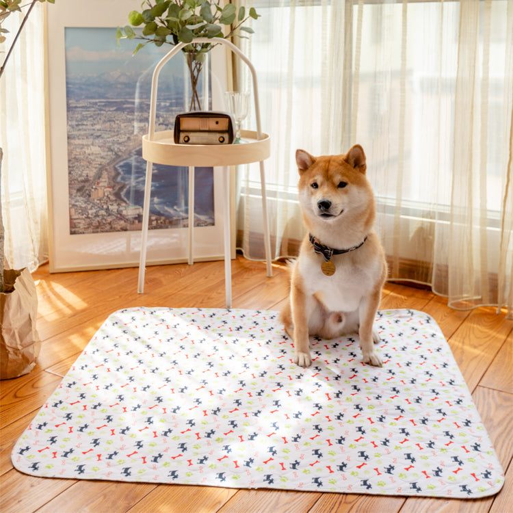 Waschbare Unterlage Für Hunde -  Absorbia