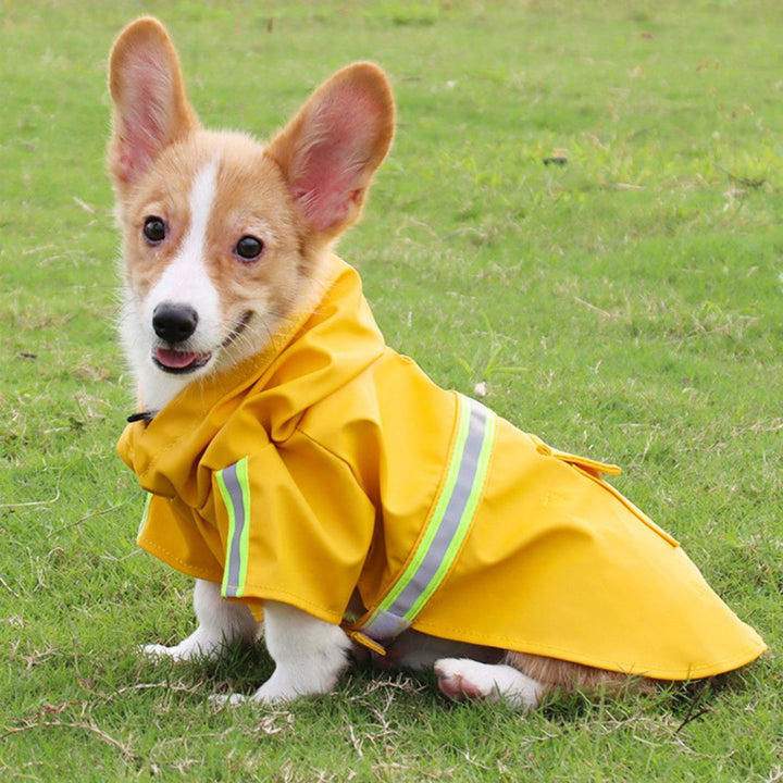 Wasserabweisende Hundejacke -  Pawsplash