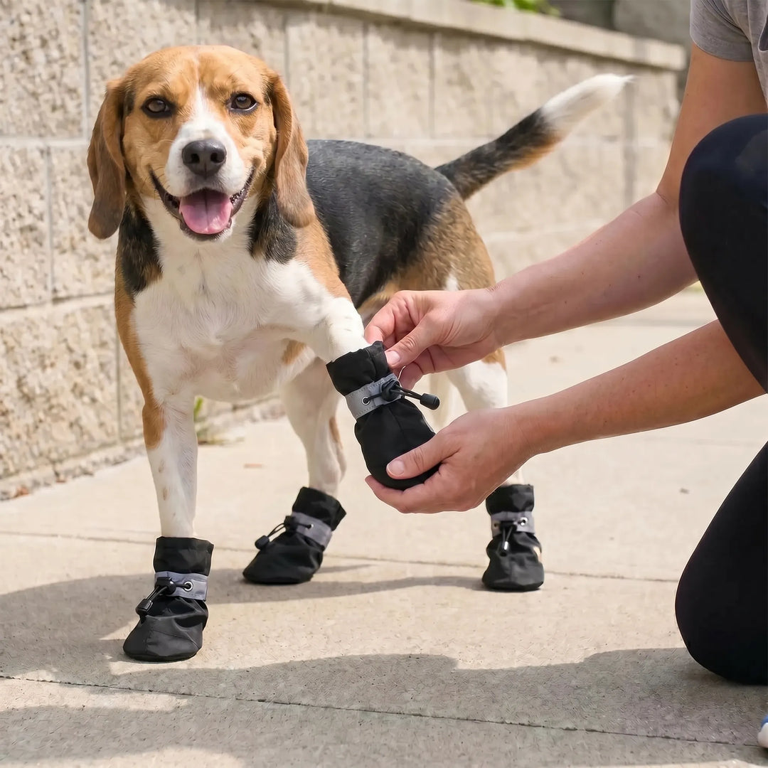 Wasserabweisende Hundeschuhe -  Lumistep