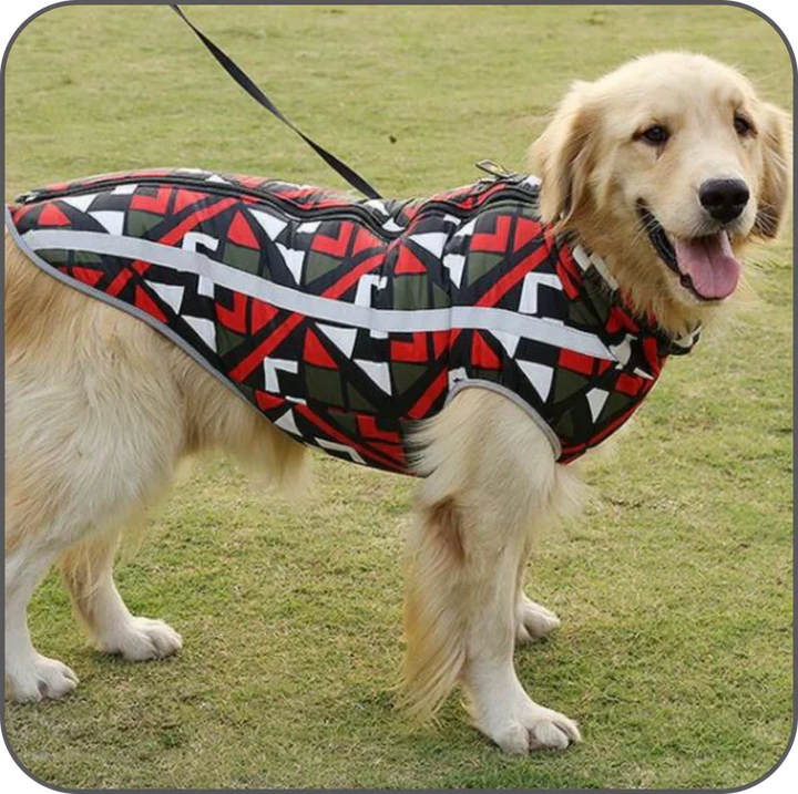 Wasserdichte Hundejacke -  Lumox