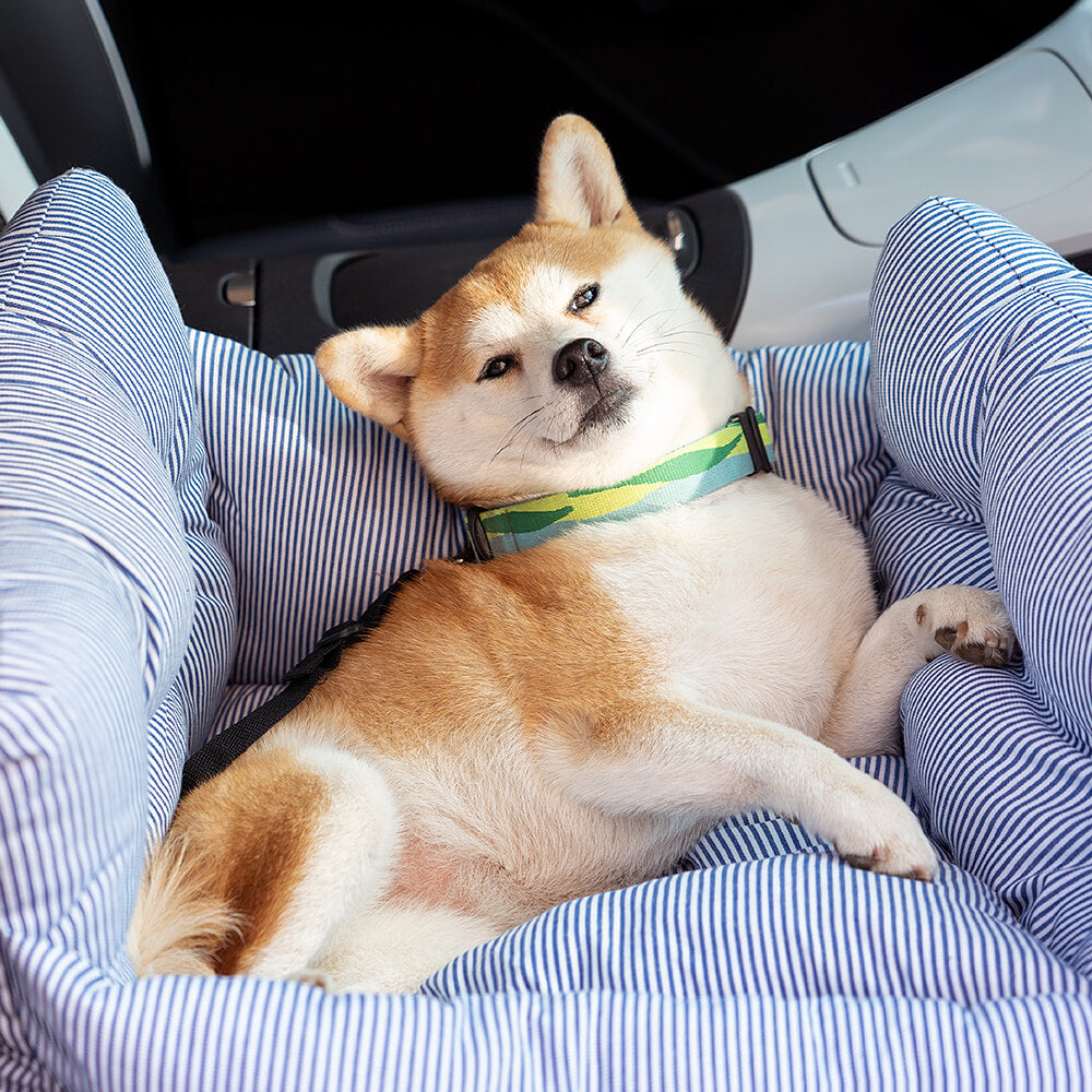 Weich Gepolsterter Hundeautositz Für Unterwegs -  Cruisara