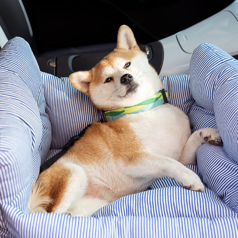 Weich Gepolsterter Hundeautositz Für Unterwegs -  Cruisara