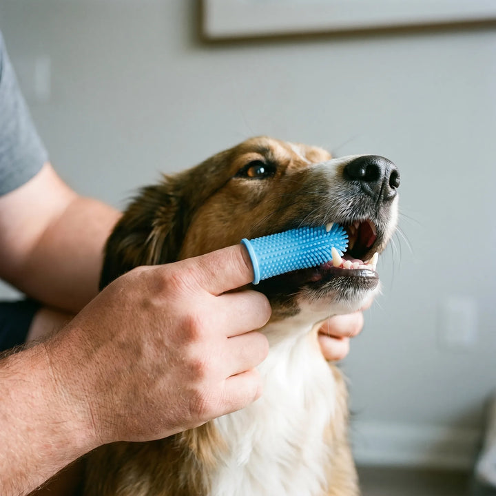 Weiche Fingerzahnbürste -  Dentifya
