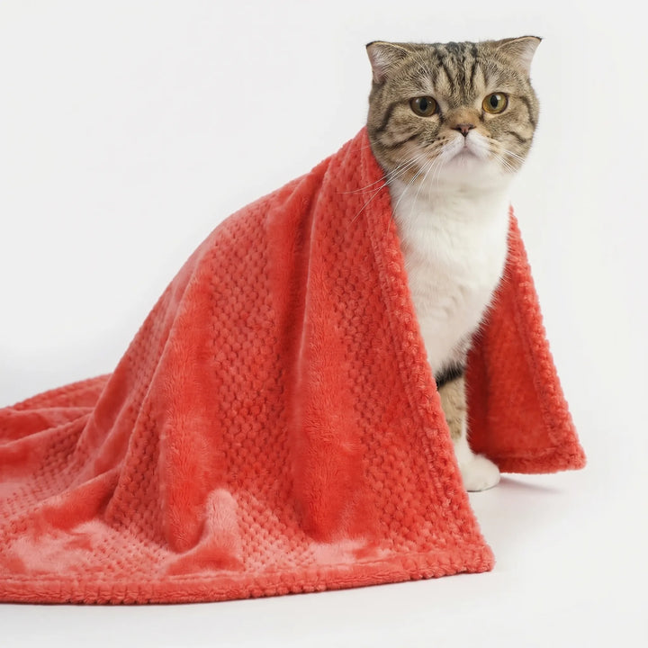 Weiche Flauschdecke Für Hunde Und Katzen -  Pawvelvet