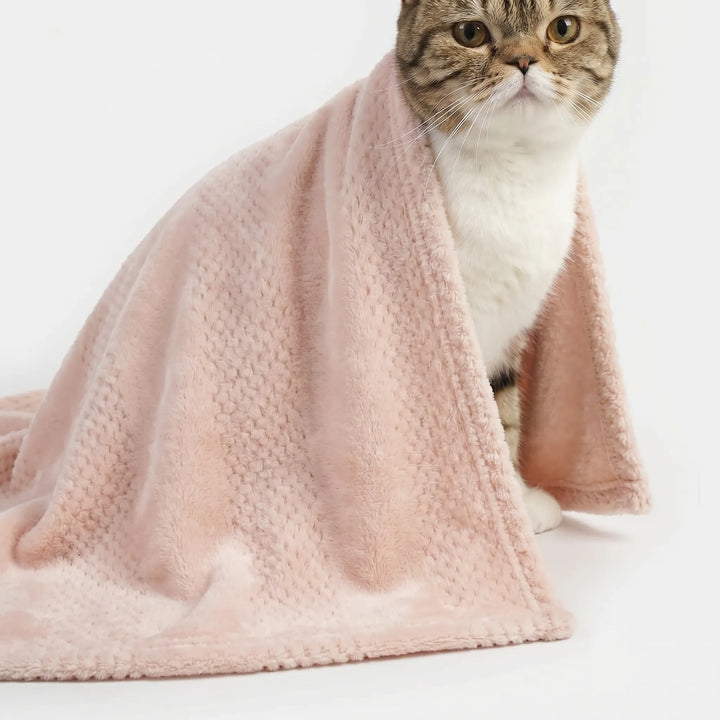Weiche Flauschdecke Für Hunde Und Katzen -  Pawvelvet