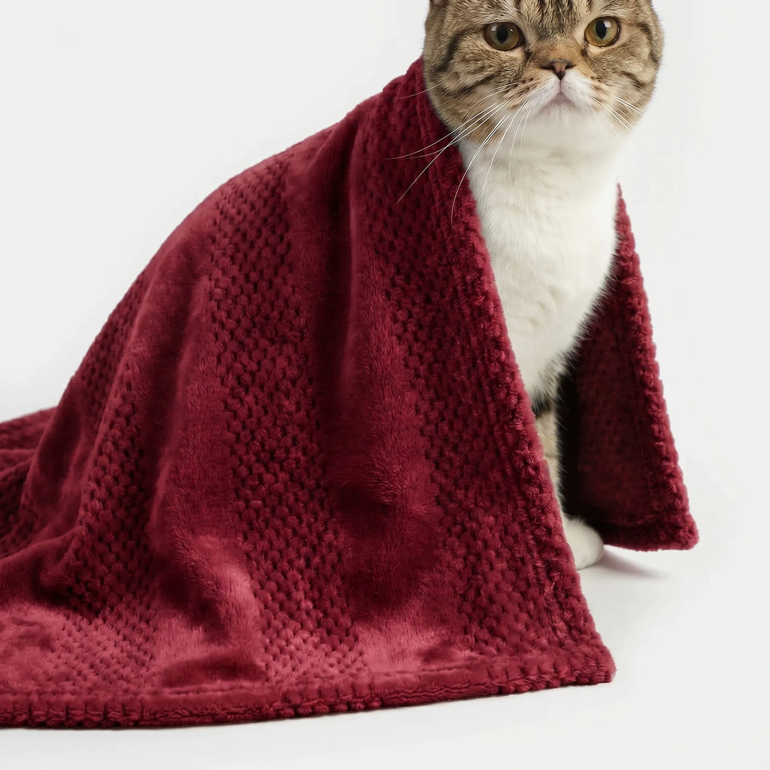 Weiche Flauschdecke Für Hunde Und Katzen -  Pawvelvet
