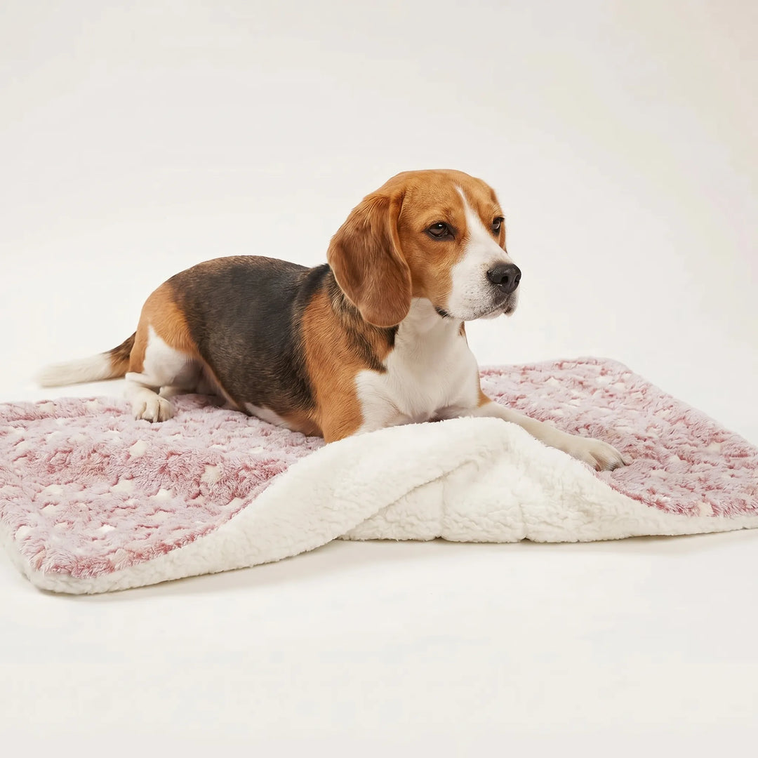 Weiche Schlafmatte Für Hunde Und Katzen -  PawPad