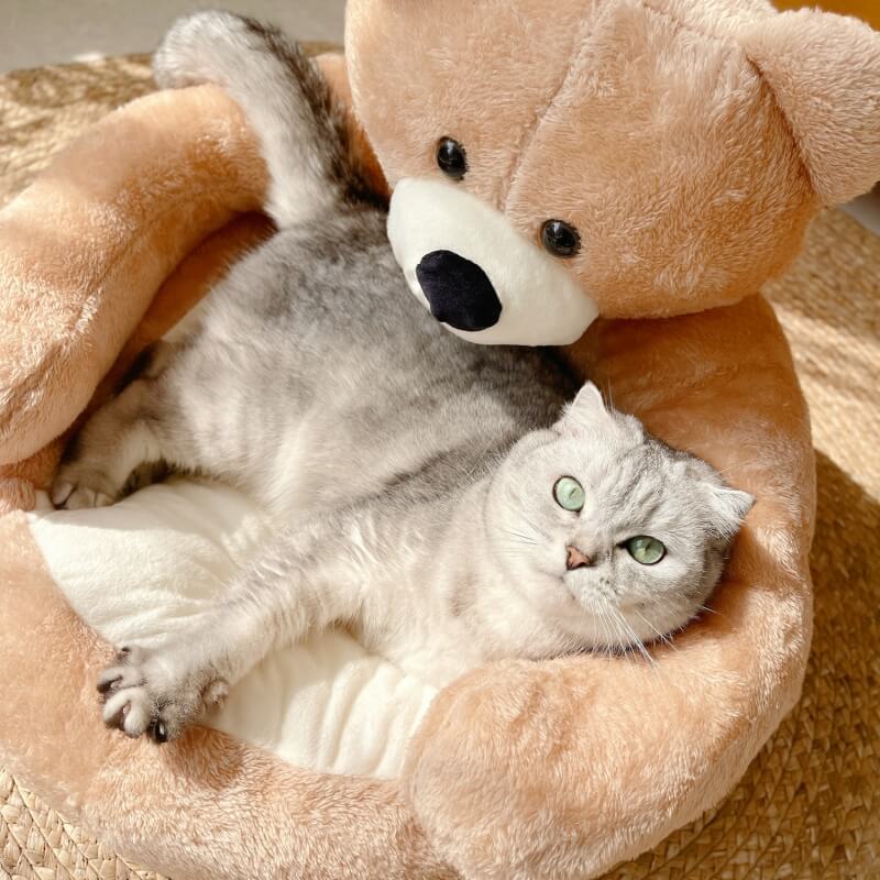Weiches Haustierbett Im Bärendesign -  Napbear