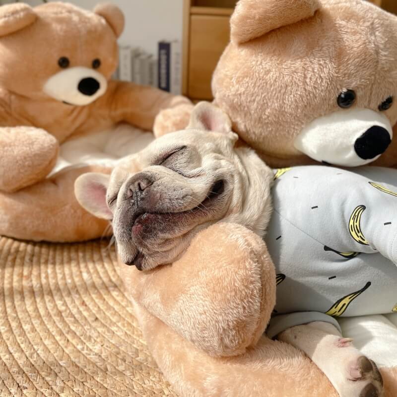 Weiches Haustierbett Im Bärendesign -  Napbear