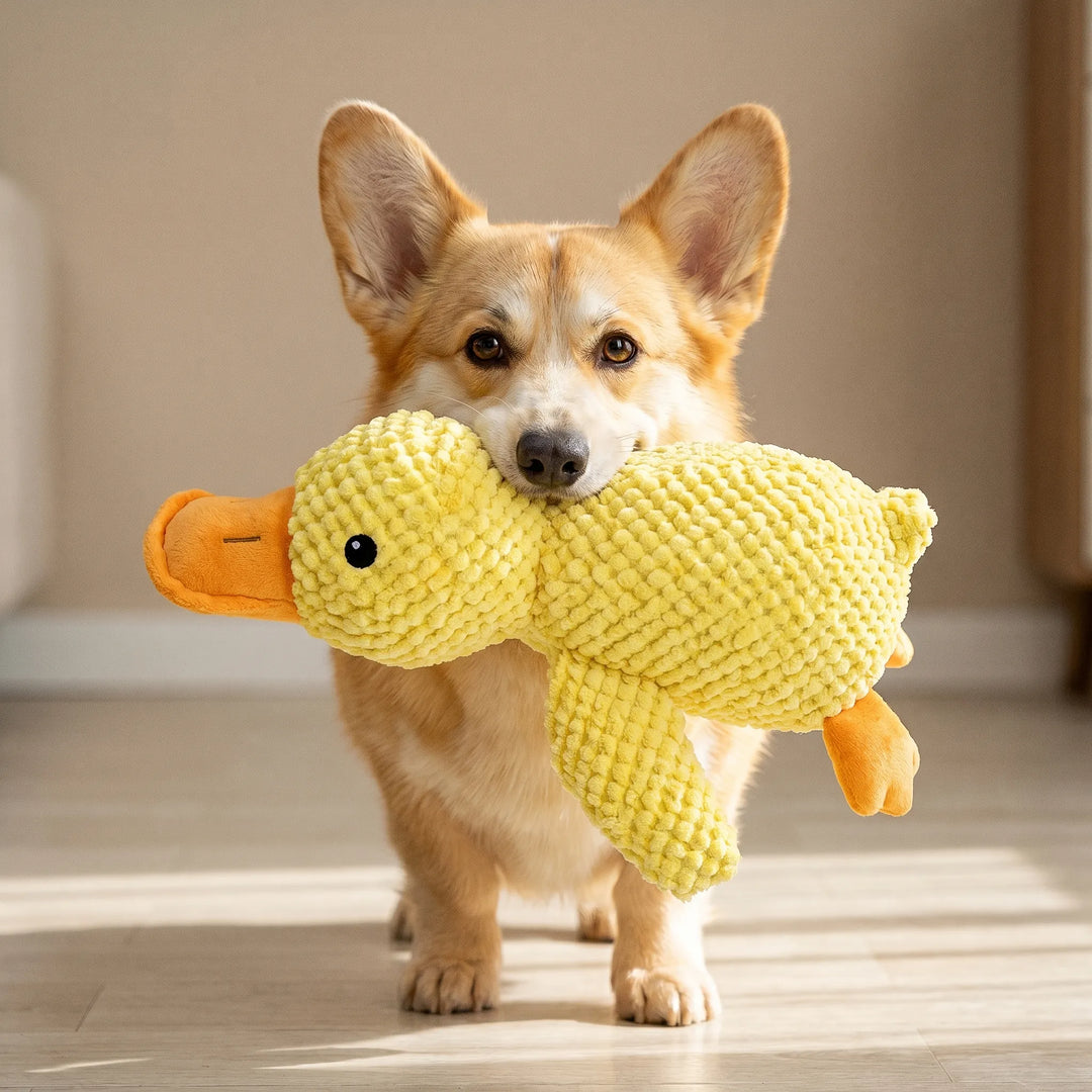 Weiches Hunde-Kuscheltier In Entenform -  Quibbo