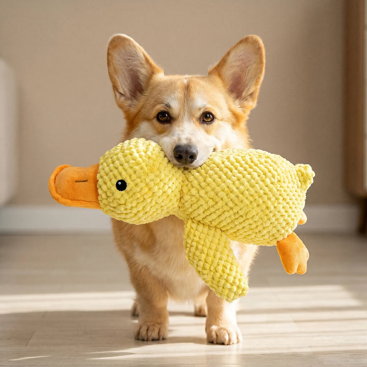 Weiches Hunde-Kuscheltier In Entenform -  Quibbo