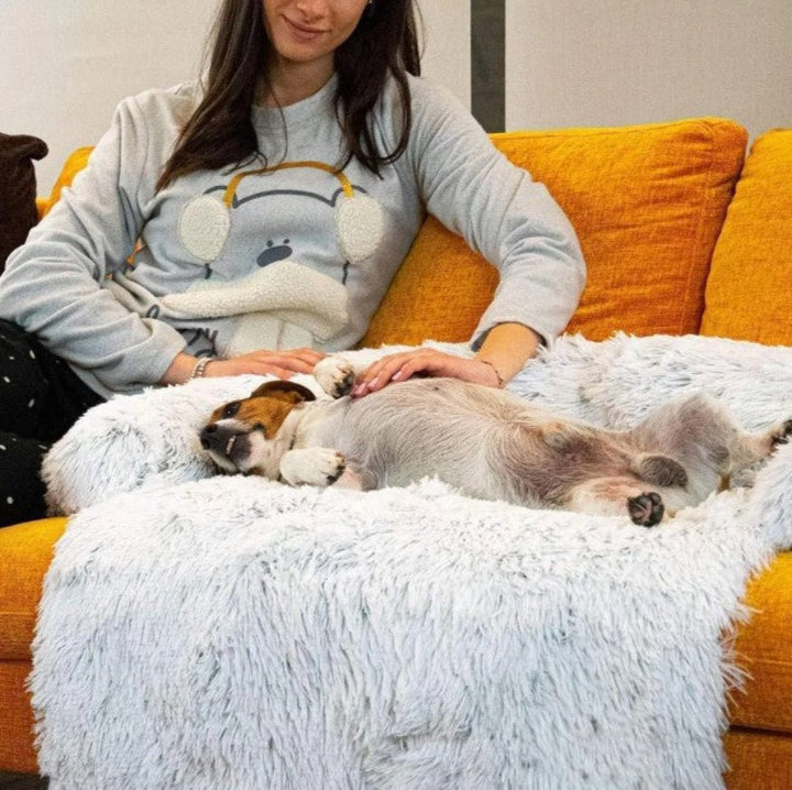 Weiches Hundebett Für Das Sofa -  Flofton