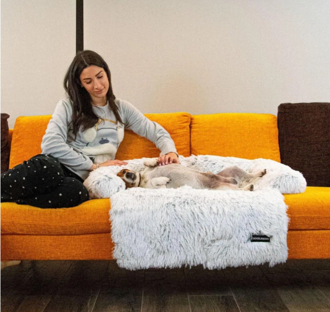 Weiches Hundebett Für Das Sofa -  Flofton