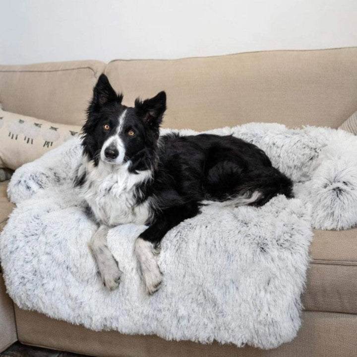 Weiches Hundebett Für Das Sofa -  Flofton