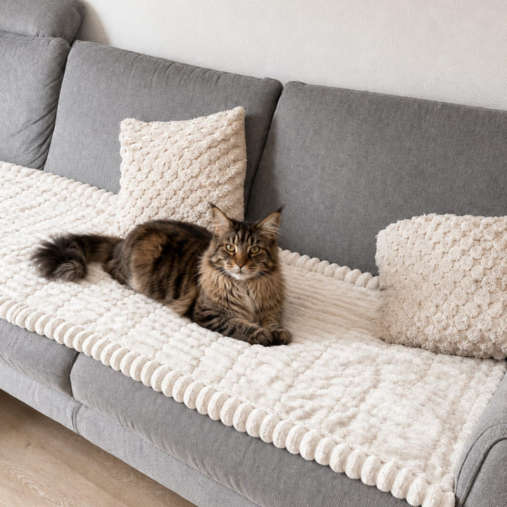 Getigerte Katze liegt auf einer cremeweißen, gerippten Sofadecke, die die Sitzfläche eines grauen Sofas schützt. 4