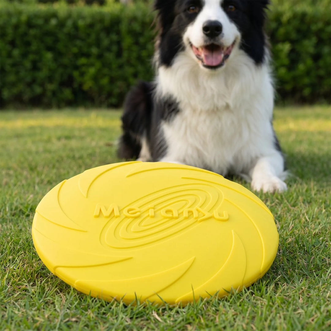 Wurfspielzeug Für Hunde -  Soarix