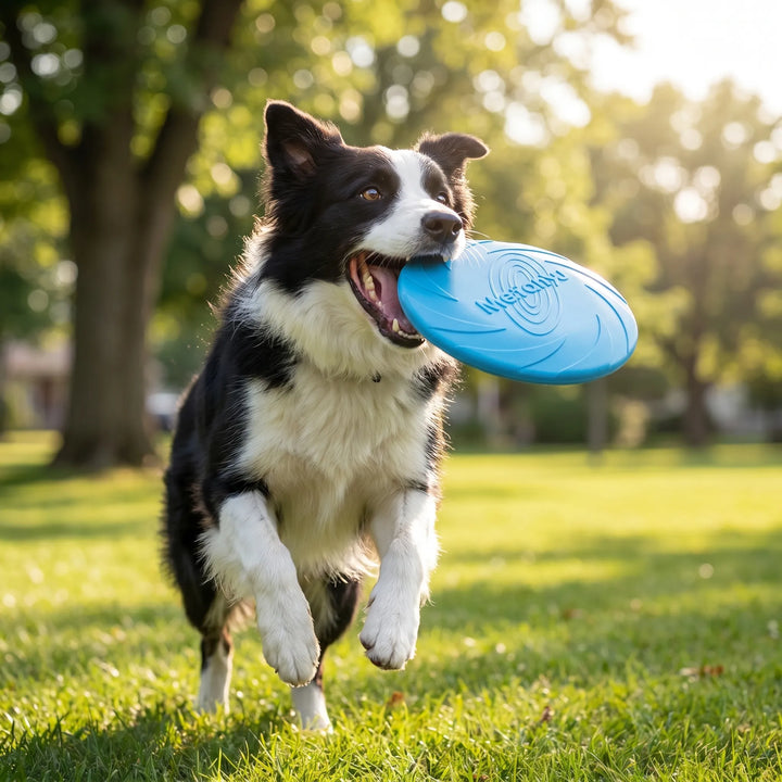 Wurfspielzeug Für Hunde -  Soarix