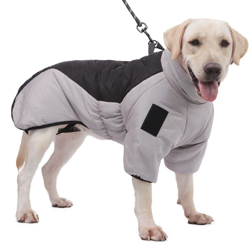 Zweifarbige Outdoor-Hundejacke -  Walkiq