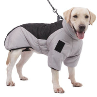 Zweifarbige Outdoor-Hundejacke -  Walkiq