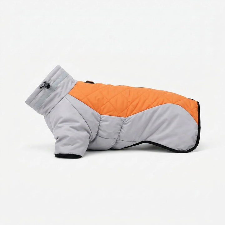 Zweifarbige Outdoor-Hundejacke -  Walkiq