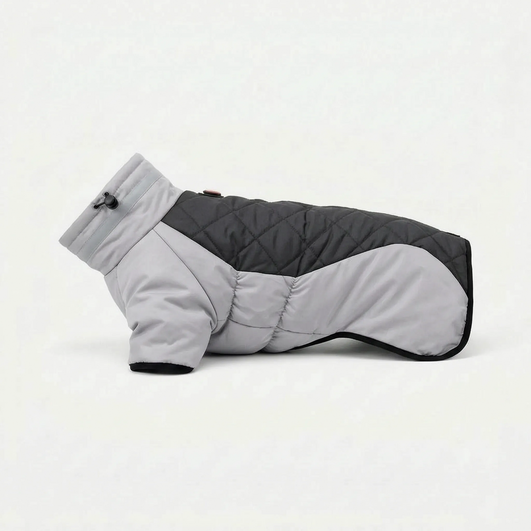 Zweifarbige Outdoor-Hundejacke -  Walkiq