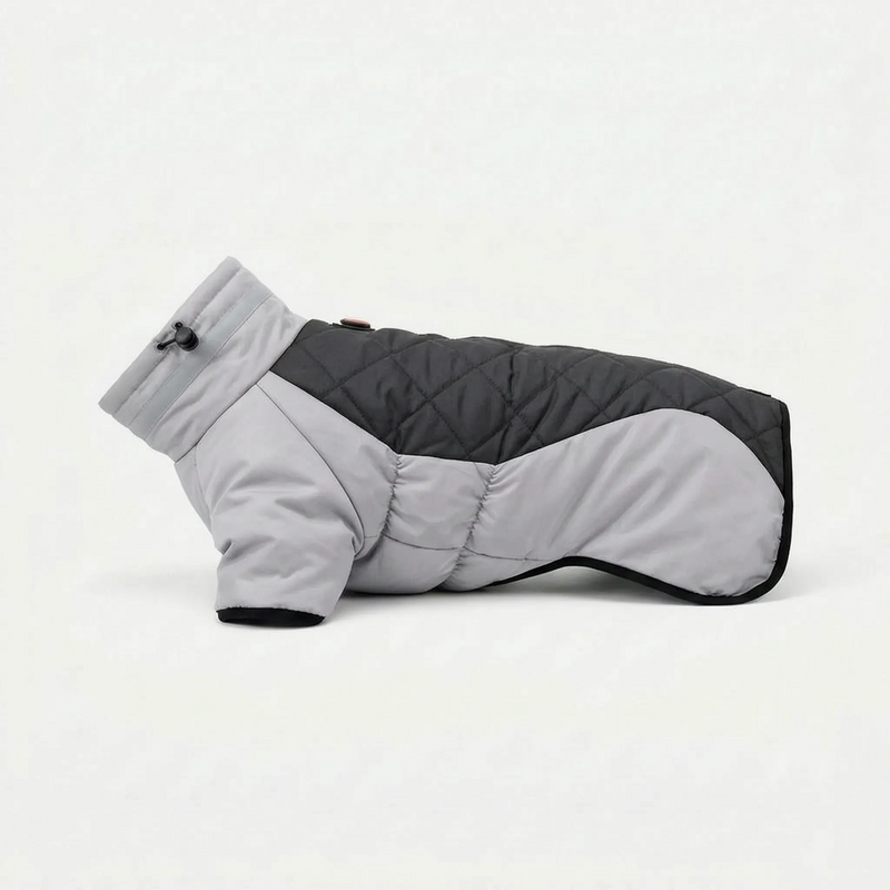 Zweifarbige Outdoor-Hundejacke -  Walkiq