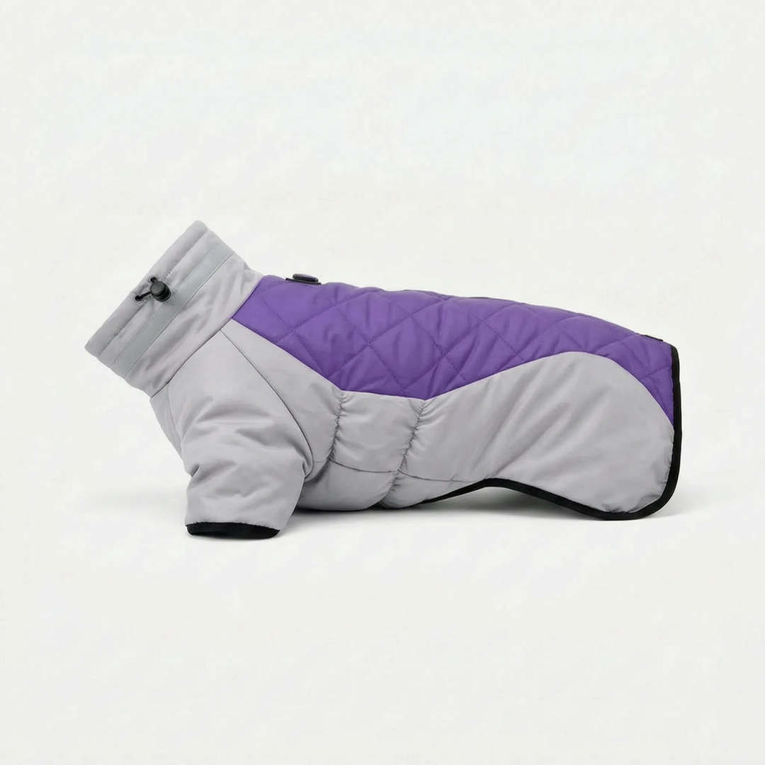 Zweifarbige Outdoor-Hundejacke -  Walkiq