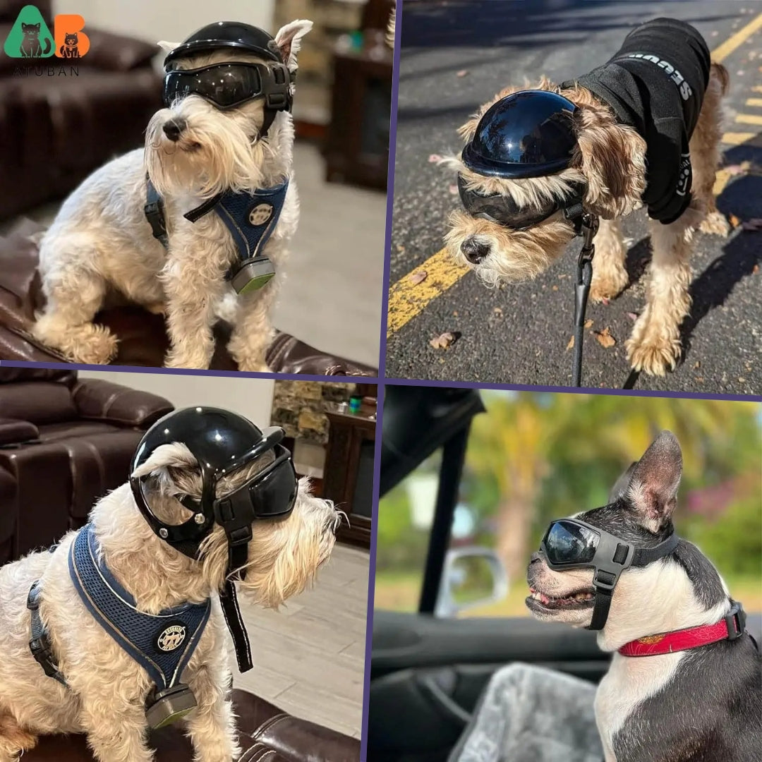 Zweiteiliges Hundehelmset -  Aeromutt