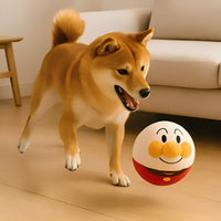 Ein Shiba-Inu-Hund spielt im Wohnzimmer mit dem weißen Plüschball mit lachendem Gesicht und rotem Körper. 2