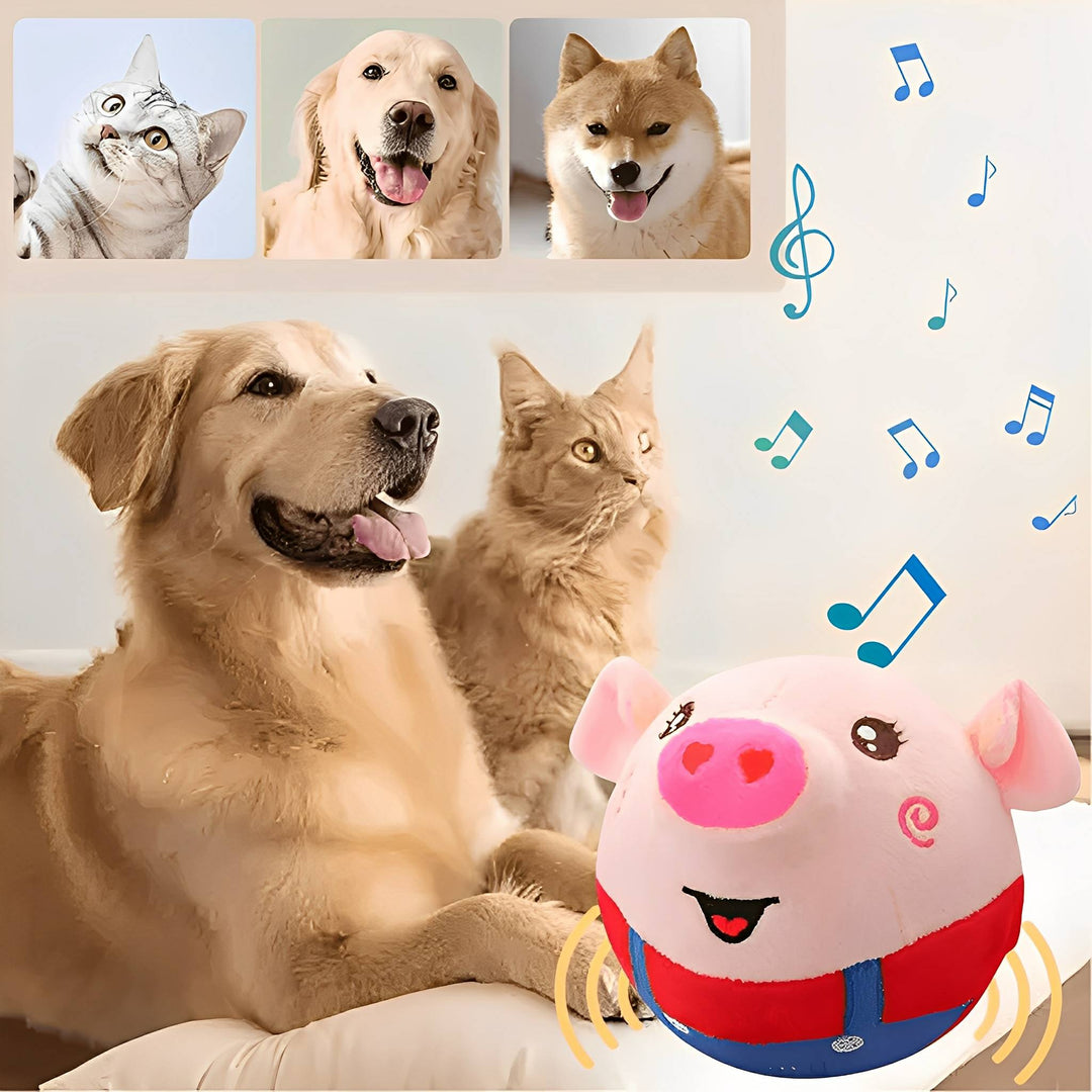 Das Schweinchen-Spielzeug mit Musiknoten, davor ein Golden Retriever und eine Katze, oben drei kleine Bilder glücklicher Haustiere. 4