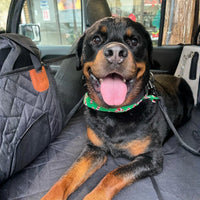Lächelnder Rottweiler mit grünem Halstuch liegt auf der schwarzen Auflage, daneben die gesteppte Seitenwand mit Netztasche. 3