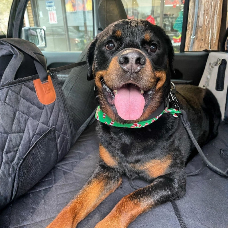 Lächelnder Rottweiler mit grünem Halstuch liegt auf der schwarzen Auflage, daneben die gesteppte Seitenwand mit Netztasche. 3