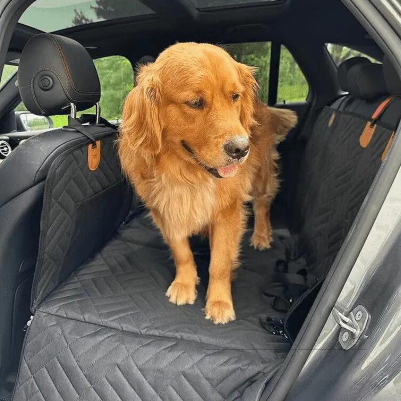 Goldener Retriever steht auf der schwarzen, gesteppten Rückbank-Auflage im Auto, seitlich sind die Sitzlehnen geschützt. 5
