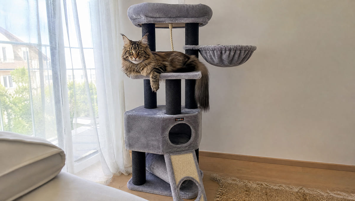 Stabil genug für unseren Kater