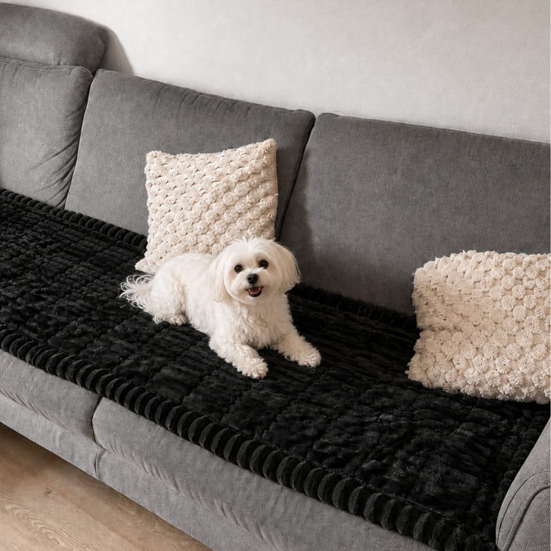 Kleiner weißer Hund sitzt auf einer schwarzen, gerippten Sofadecke auf einem grauen Sofa neben cremefarbenen Kissen. 3